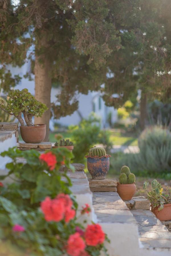 Antonina Hotel Agia Anna  Bagian luar foto
