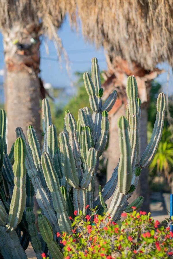Antonina Hotel Agia Anna  Bagian luar foto
